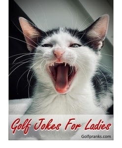 cat laughing at golf jokes for ladies